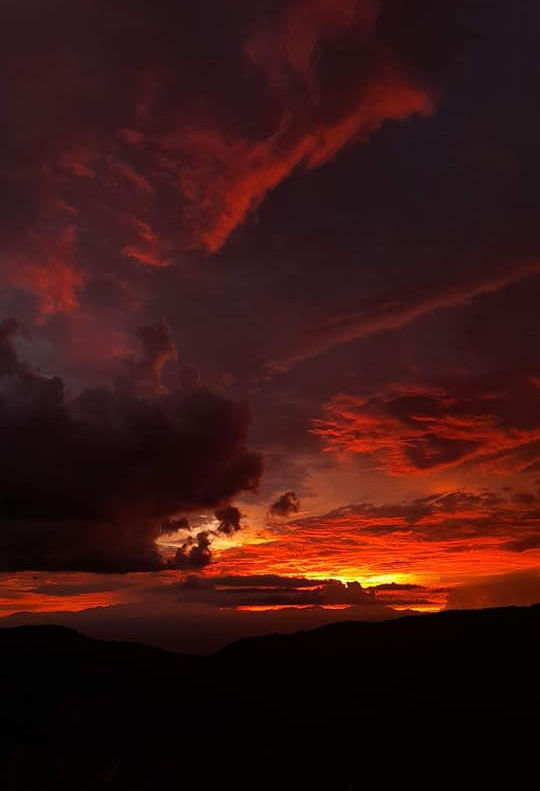 By Marlen Gutierrez.jpg