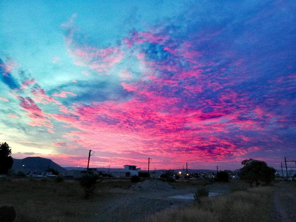 By Joani León