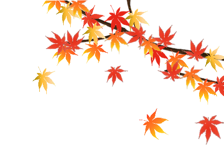 前期期末 皆さんお疲れ様でした