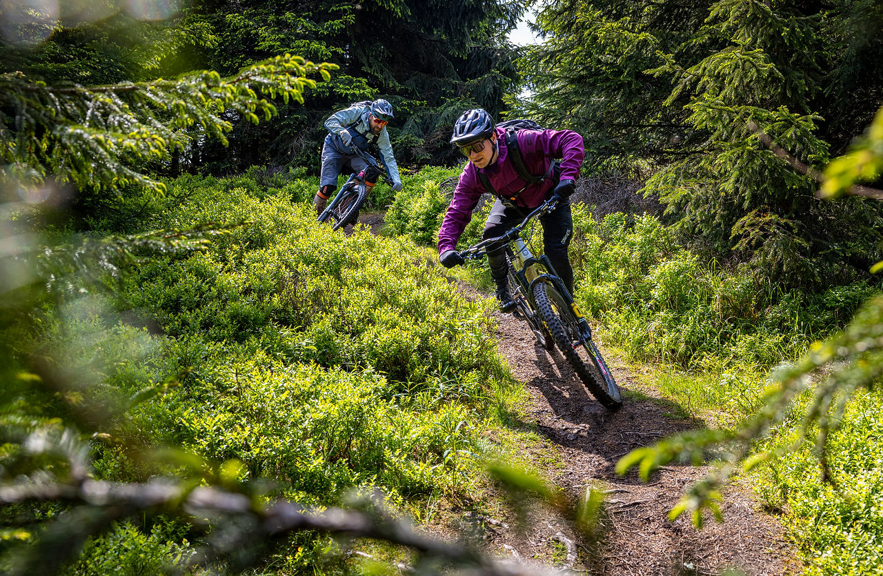 Trails in Thüringen