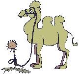IMG_0221.GIF