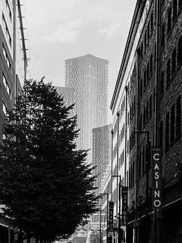 IMG_5184.jpg