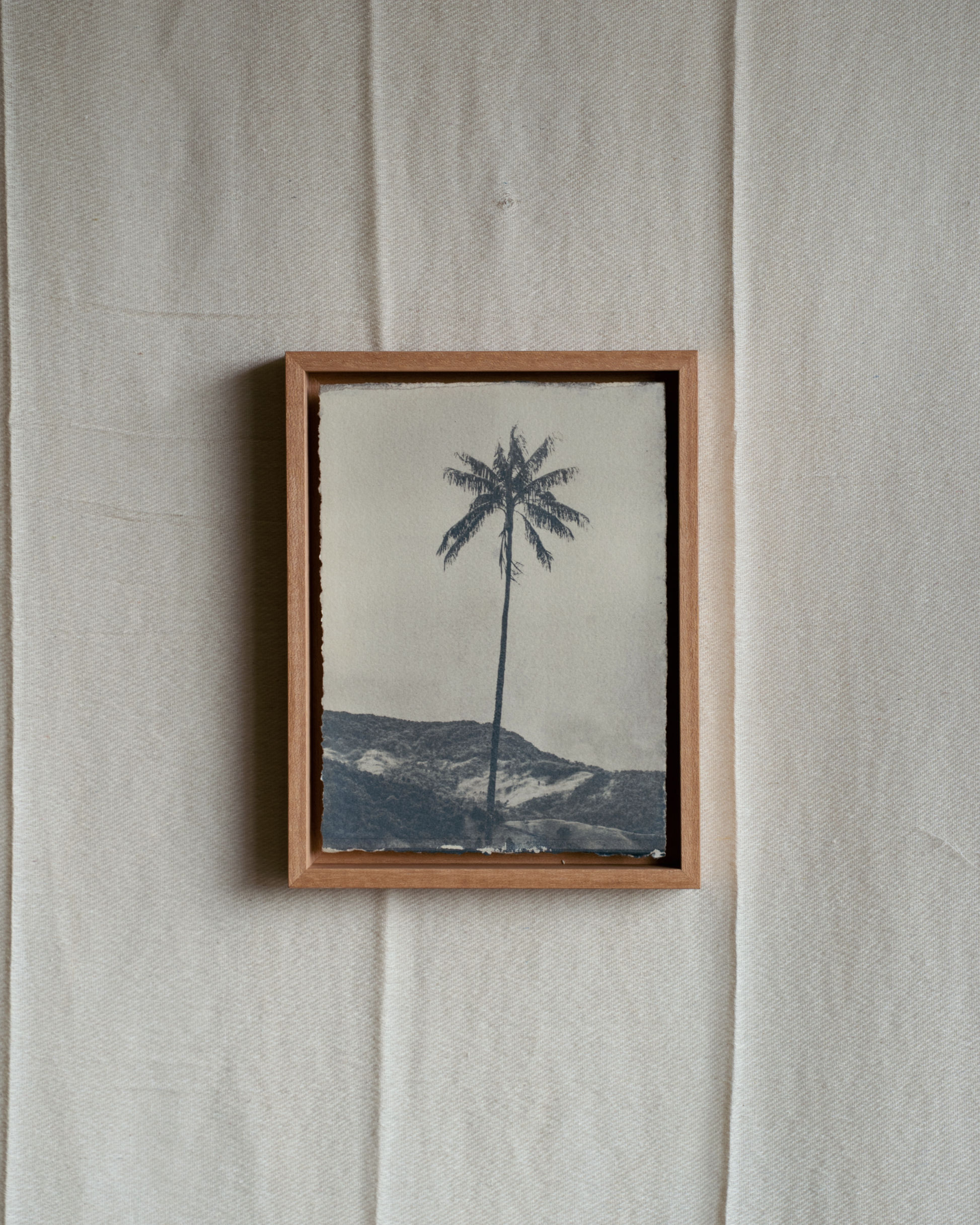 Palm Portrait 3