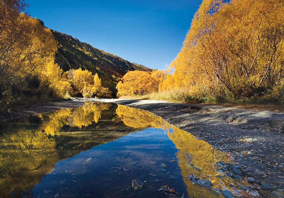 Arrowtown Plumbers