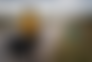 Le point de non-retour