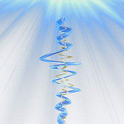 Spine sound HP.jpg