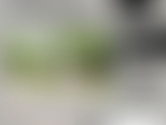 2620 Clairmont Road NE Atlanta, Georgia 30329