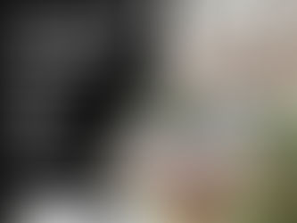 1256 Spring Valley Lane NE Atlanta, Georgia 30306