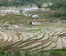Asia Muziumpadikedah