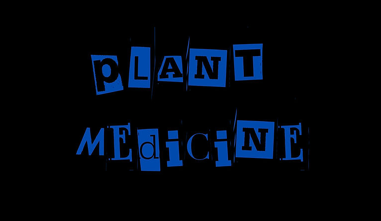 Plant Medicine_edited.jpg