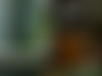 padlock on gate symbolizing privileged access management (PAM)