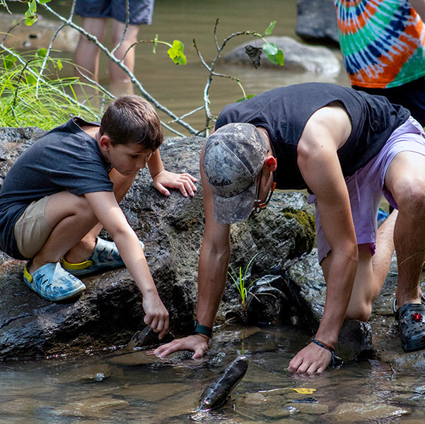 stream_ecology