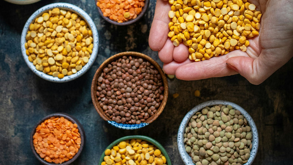 Phytokana Ingredients raises $17.7m to support new plant protein processing facility