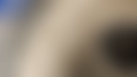 New food-tech start-up Lasso launches, backed by $6.5m funding raise