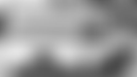 Roberts Bakery in talks with potential partners as administrator notice filed