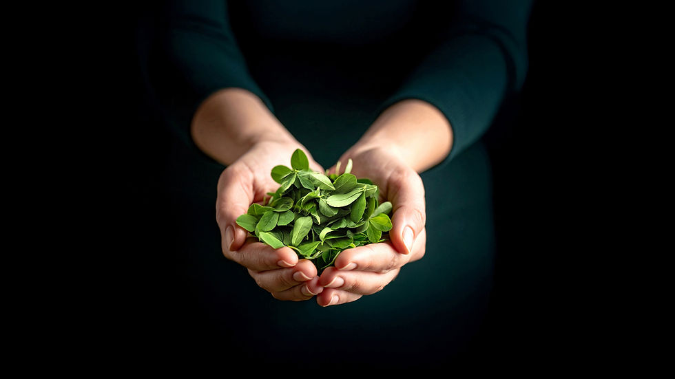 Start-up spotlight: Leaft Foods