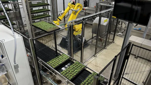Soli Organic opens new soil-based vertical farm in Texas