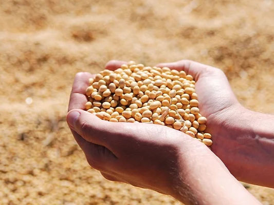Bunge acquires IFF's soy and lecithin business