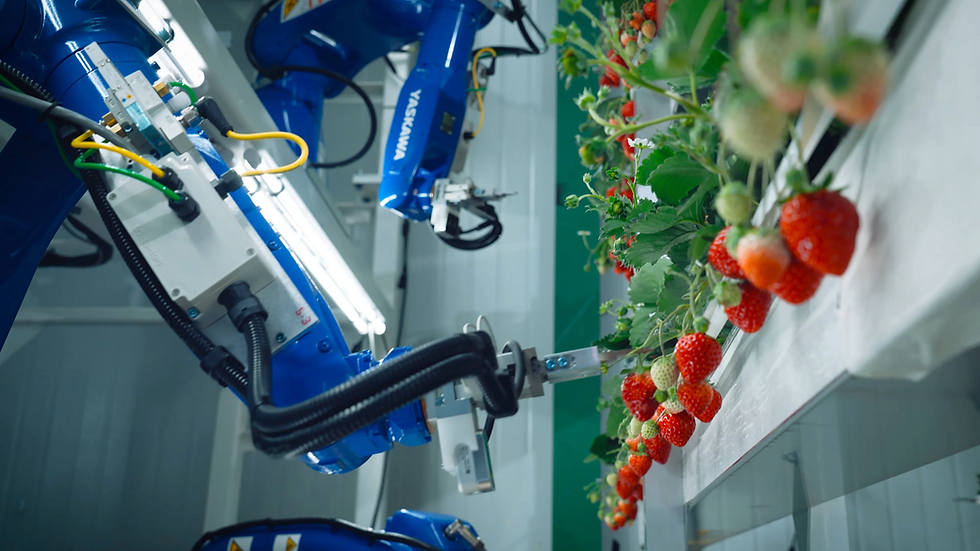 Oishii closes $150m funding round to scale tech-led indoor farming platform