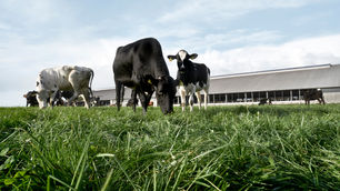 Arla brings customer partnership sustainability initiative to Denmark