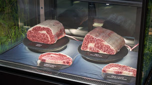 TissenBioFarm develops ‘world-first’ cultivated meat with cell density equivalent to conventional meat