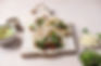 Start-up spotlight: Fable Food Co