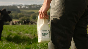 Trewithen Dairy rolls out regeneratively farmed milk in UK Tesco stores