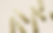 MycoTechnology and Adorvia Biotechnology partner to advance natural sweeteners