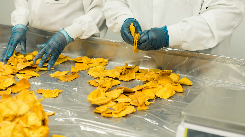 FDF calls on UK government to support F&B manufacturers amid sector ‘crisis’