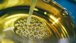 Clean Food Group buys Algal Omega 3 assets out of administration