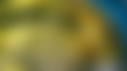 Clean Food Group buys Algal Omega 3 assets out of administration