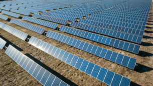 Mars partners with Enel to accelerate clean energy across entire value chain