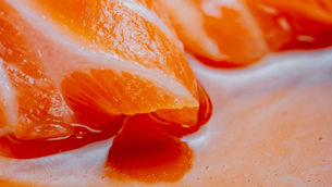 Umami Bioworks enters traditional seafood sector with new food safety solution