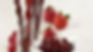 SunOpta invests $25m in fruit snack production at Washington, US, facility