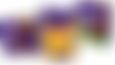 New Dairy Milk sticks and Crunchie tub join Froneri’s Cadbury ice cream portfolio