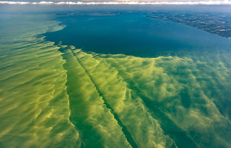 Campbell’s admits liability for violating Clean Water Act over 5,000 times
