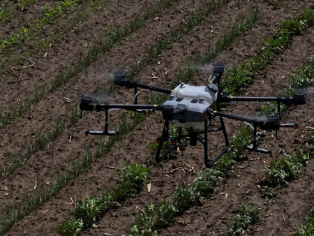 The American Underdogs: 5 Small-Cap Tech Stocks Quietly Going Global