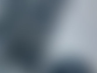 Découvrez l'histoire et la signification de l'emblème de la Vodka Nadé