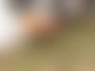 Your Spring Landscaping Checklist