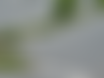 Landscape Design Tips for Your Commercial Property