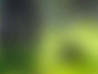 Why Maintenance Contracts Are Priced Differently