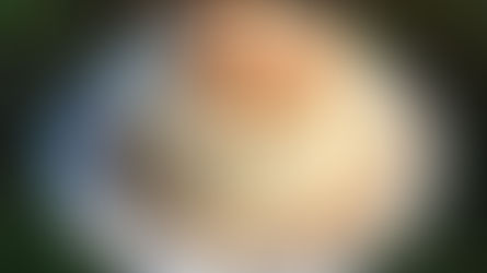 Cuscuz de tapioca com coco, decorado com coco queimado e servido com leite condensado.