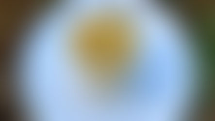 Mousse de maracujá - O melhor da vida!!! Apenas 3 ingredientes