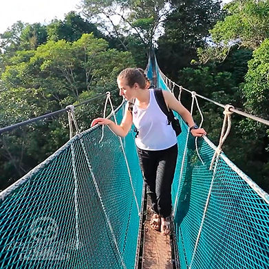 Ceiba_33.jpg