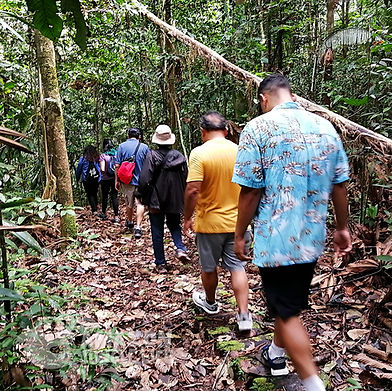Ceiba Caminata2.jpg