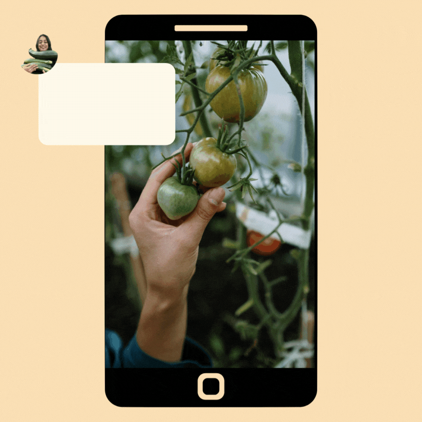 AI gardening assistant provides advice on a user's tomatoes through a smartphone chat interface