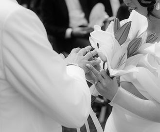 Ringe werden aufgesetzt