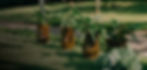 fine-stoneware-planters.jpg