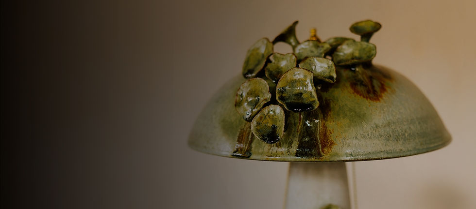 new-lamp-banner.jpg