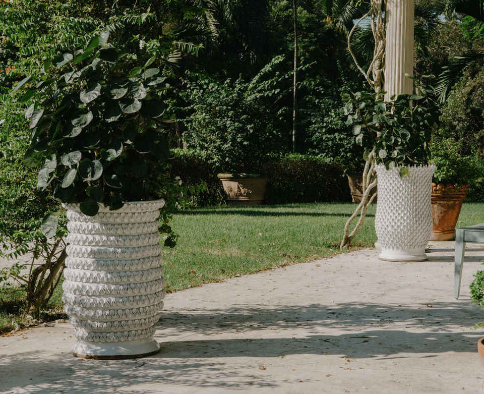 vongole planter in white